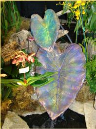 Learn how to make these fantastic concrete leaves