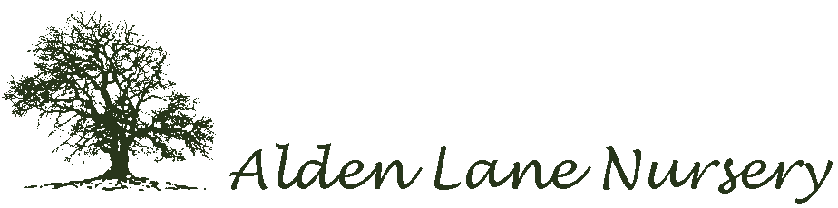 Alden Lane Nursery