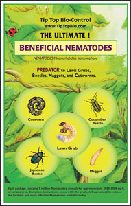 Nematodes Alden Lane Nursery