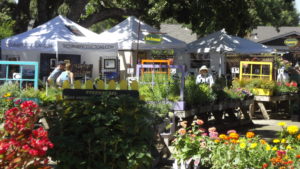 over 35 artists filled the grounds at Alden Lane this year