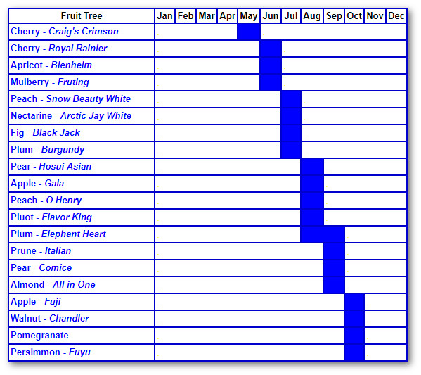 Apple Tree Ripening Chart